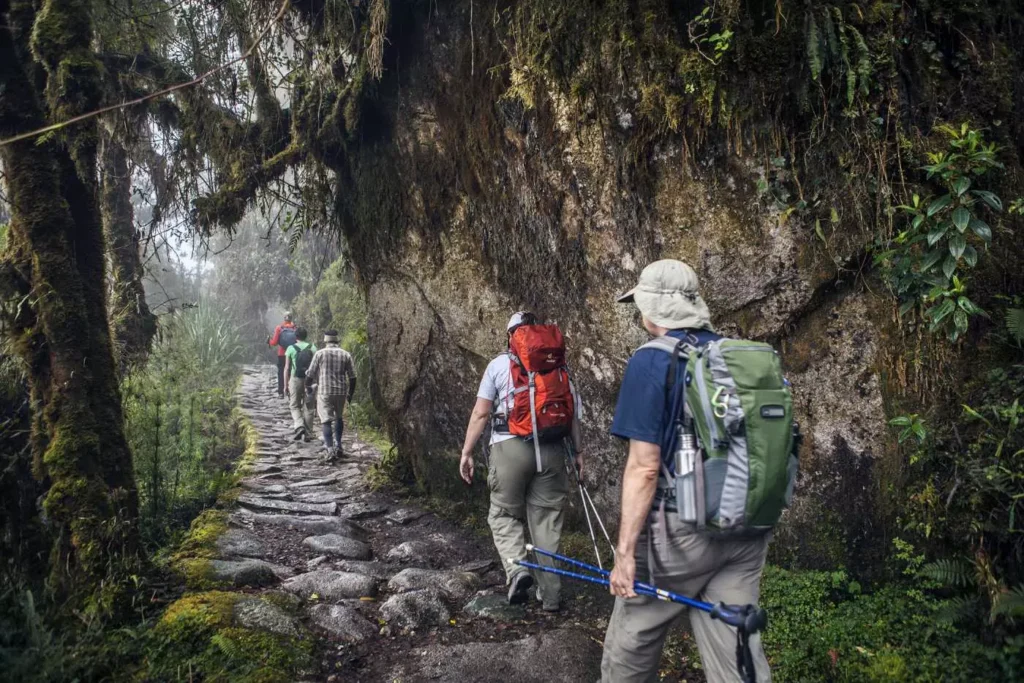 Inca Jungle — 5