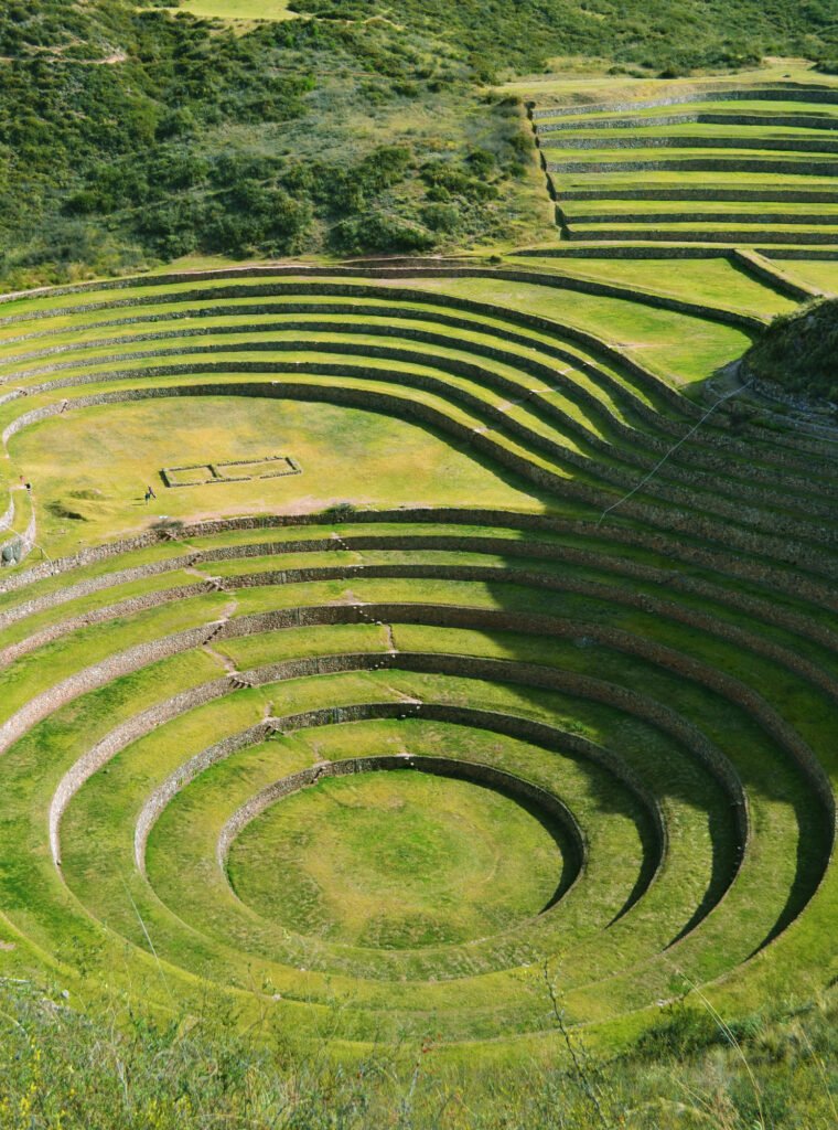 Maras & Moray — 5