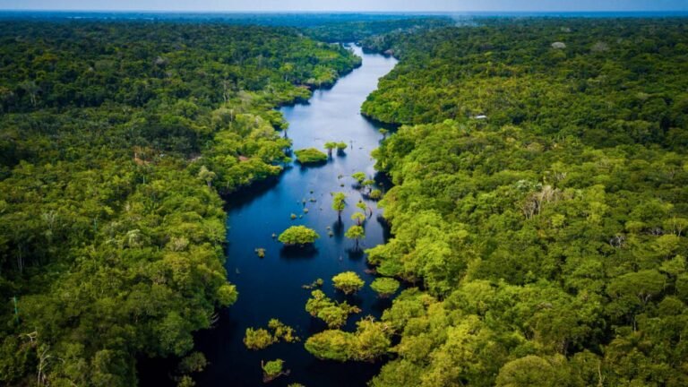 Manu o Tambopata: ¿qué selva elegir?
